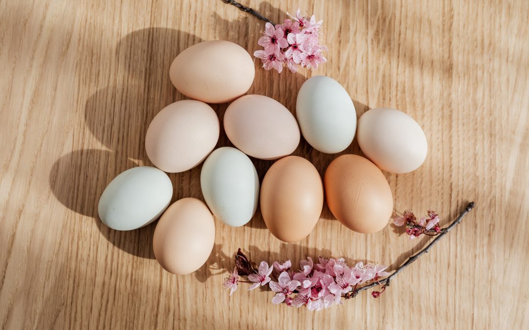 缺蛋危機，營養師教你3餐這樣吃，代替雞蛋，補充蛋白質