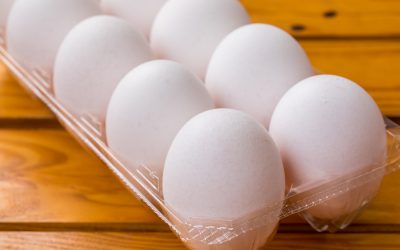 台灣蛋雞產蛋率52%，產業不進步，缺蛋問題難解